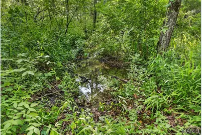 Tbd 005 M- Cantrell Road, Winfield, MO 65704 - Photo 8