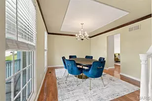 8 Jacobs Pl Ct, O'Fallon, MO 63376 - Photo 10