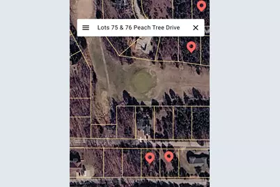 Lot 76// 6002 Peach Tree Drive, Hillsboro, MO 63050 - Photo 10