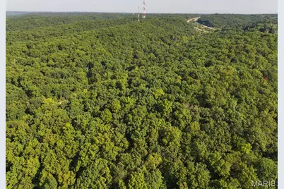 Off Buckeye Valley Road, House Springs, MO 63051 - Photo 6