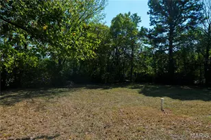 104 Summit St, Bonne Terre, MO 63628 - Photo 38