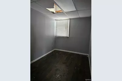 501 Nebraska Street, Louisiana, MO 63353 - Photo 10