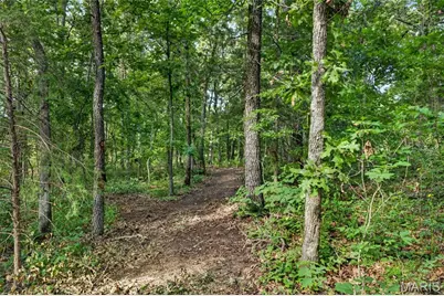 Tbd 006 M- Cantrell Road, Winfield, MO 65704 - Photo 14