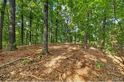 Tbd 006 M- Cantrell Road, Winfield, MO 65704 - Photo 18