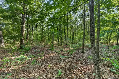 Tbd 006 M- Cantrell Road, Winfield, MO 65704 - Photo 22