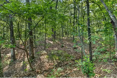 Tbd 006 M- Cantrell Road, Winfield, MO 65704 - Photo 24