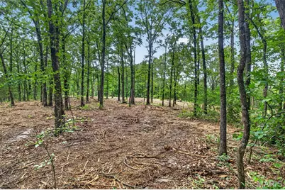 Tbd 006 M- Cantrell Road, Winfield, MO 65704 - Photo 10