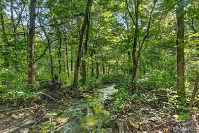 Tbd 006 M- Cantrell Road, Winfield, MO 65704 - Photo 28
