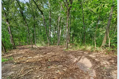 Tbd 006 M- Cantrell Road, Winfield, MO 65704 - Photo 16