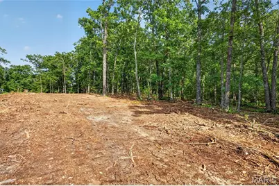 Tbd 006 M- Cantrell Road, Winfield, MO 65704 - Photo 8
