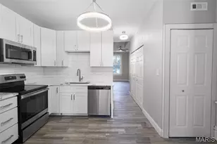 1309 Shenandoah Ave, Saint Louis, MO 63104 - Photo 42