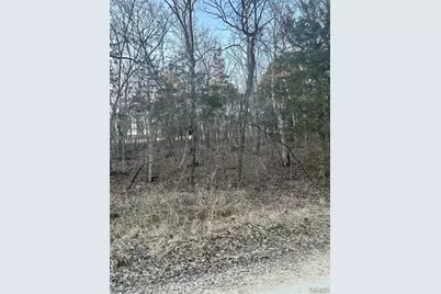 121 Briarwood Terrace, De Soto, MO 63020 - Photo 2