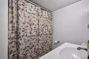 800 Tyler St, Park Hills, MO 63601 - Photo 20