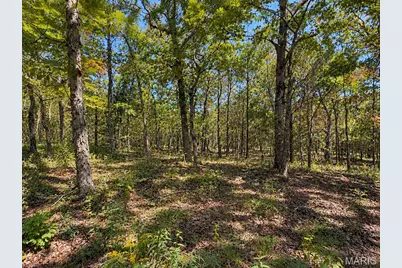 [Address not provided], Bellerive, MO 63623 - Photo 8