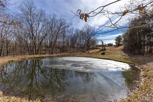 6229 Hwy 32, Farmington, MO 63640 - Photo 46