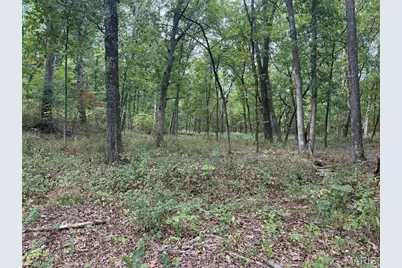 17191 Sunnyside Road, Warrenton, MO 63383 - Photo 12
