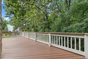 1409 Oakhall Manor Ct, Ballwin, MO 63021 - Photo 16