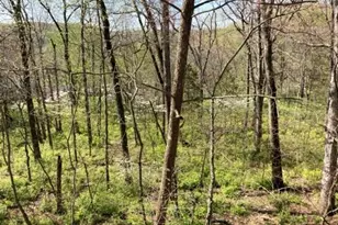 18852 Highwood Estates Dr, Wildwood, MO 63069 - Photo 94