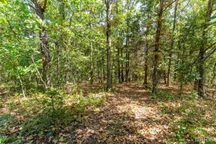 8380 Old State Route 21, Hillsboro, MO 63050 - Photo 38