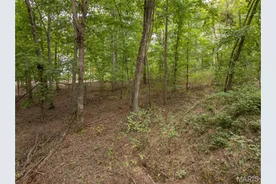 2527 Alpine Trails Drive, Innsbrook, MO 63390 - Photo 8
