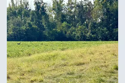 5324 McCallister Road, Gerald, MO 63037 - Photo 60