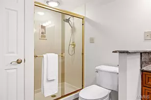 254 Pennington Ln, Chesterfield, MO 63005 - Photo 28
