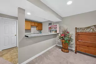 384-386 Shadow Pines Dr, Wentzville, MO 63385 - Photo 60
