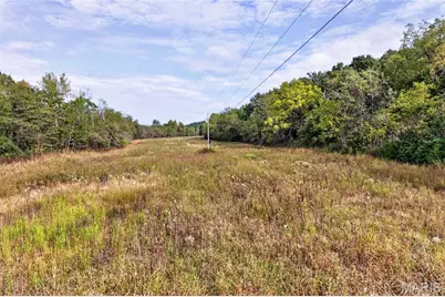 65.2 +/- Ac Tavern Creek Road, Imperial, MO 65486 - Photo 28