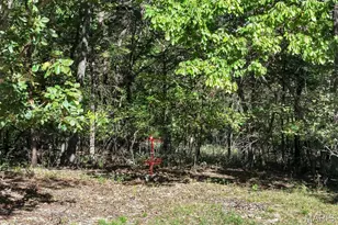 7836 Borman Rd, Barnhart, MO 63012 - Photo 44