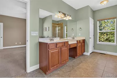 223 Lone Wolf Drive, Festus, MO 63028 - Photo 52