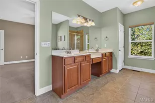 223 Lone Wolf Dr, Festus, MO 63028 - Photo 52