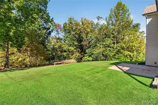 223 Lone Wolf Dr, Festus, MO 63028 - Photo 14