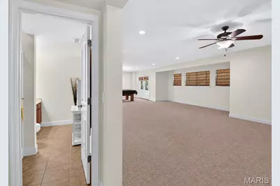 223 Lone Wolf Drive, Festus, MO 63028 - Photo 74
