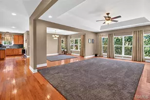 223 Lone Wolf Dr, Festus, MO 63028 - Photo 46