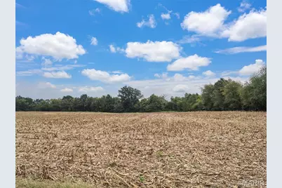 0 Hwy B (Tract A - 10.60+/- Acres), Elsberry, MO 63343 - Photo 10