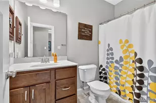 313 Wilmer Farm Trail, Wentzville, MO 63385 - Photo 14
