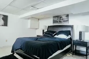 3923 Alexander St, Saint Louis, MO 63116 - Photo 36