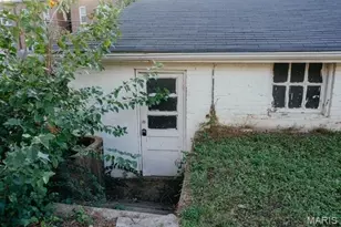 3923 Alexander St, Saint Louis, MO 63116 - Photo 42