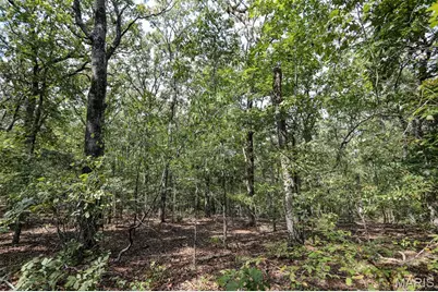 0 County Road 505, Greendale, MO 63944 - Photo 10