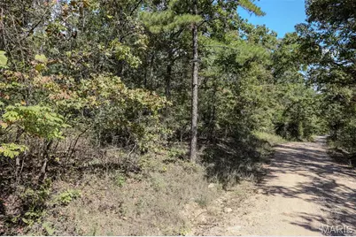 0 County Road 505, Greendale, MO 63944 - Photo 2