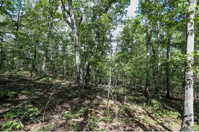 0 County Road 505, Greendale, MO 63944 - Photo 4