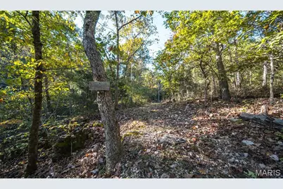 10206 Slice Road, Sullivan, MO 63080 - Photo 40