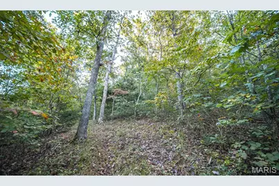 10206 Slice Road, Sullivan, MO 63080 - Photo 42