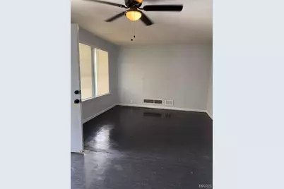 1135 Canaan Avenue, Saint Louis, MO 63147 - Photo 2