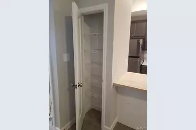 3648 Russell Boulevard, Saint Louis, MO 63110 - Photo 26