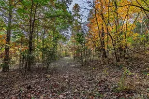 10224 Cedar Tree Ln, Dittmer, MO 63023 - Photo 52