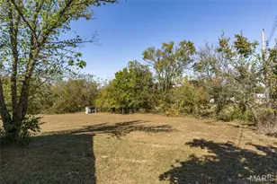 304 Ash St, Bonne Terre, MO 63628 - Photo 6