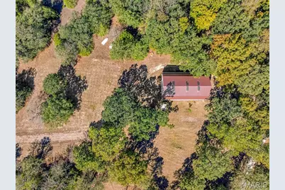 6549 Butcher Branch Road, Hillsboro, MO 63050 - Photo 88