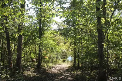 161 Gibson Creek Road, Saint Clair, MO 63077 - Photo 82