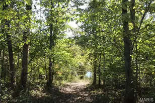 161 Gibson Creek Rd, Saint Clair, MO 63077 - Photo 82
